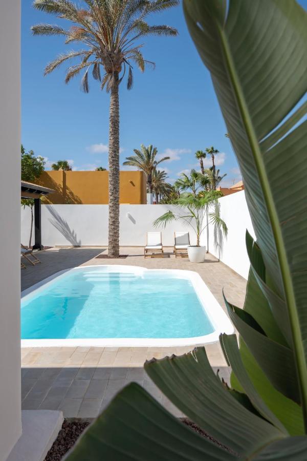 Villa Tropico - Design House With Pool In คอร์ราเลโฮ ภายนอก รูปภาพ